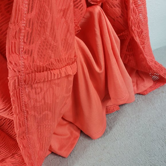 CB Women's Orange Lined Embroidered Fishnet Zip Back Sleeveless Dress - Picture 6 of 13